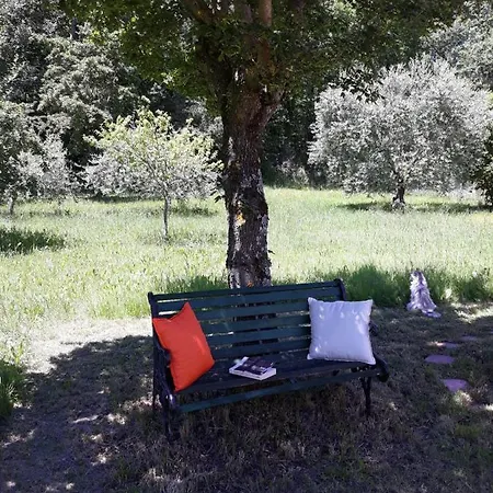 La Casetta Nel Prato Alpehytte